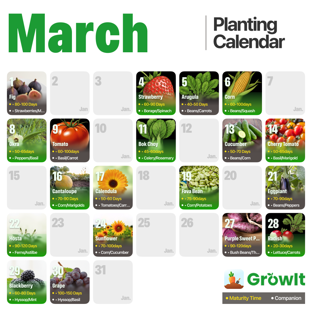 GrowIt Facebook ad