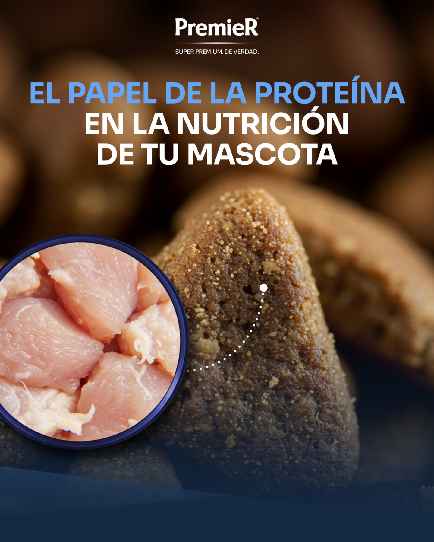 PremieRpet Latam Facebook ad: Las proteínas: esenciales para la energía, músculos fuertes…