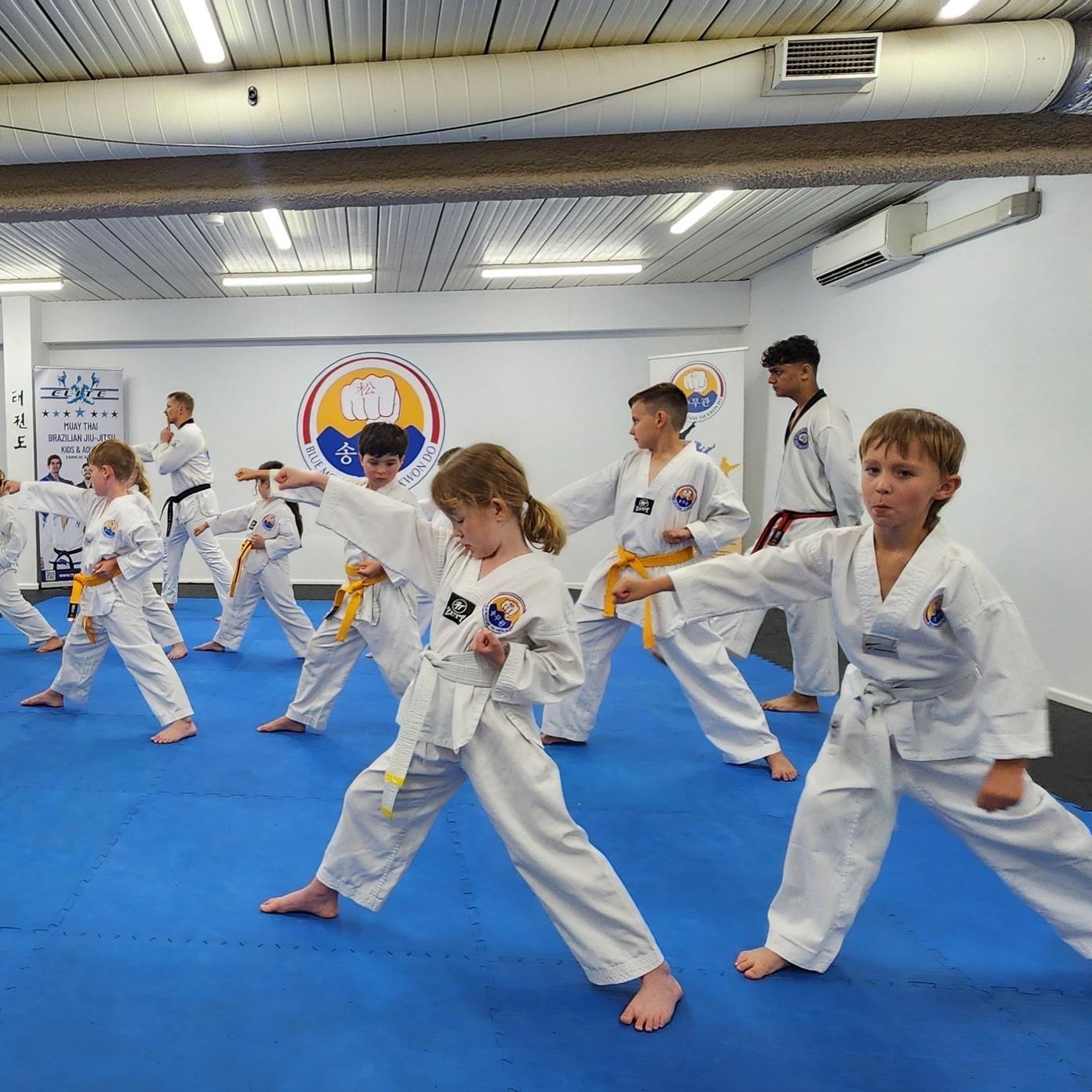 Blue Mountains Taekwondo Facebook ad