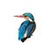 RealBird