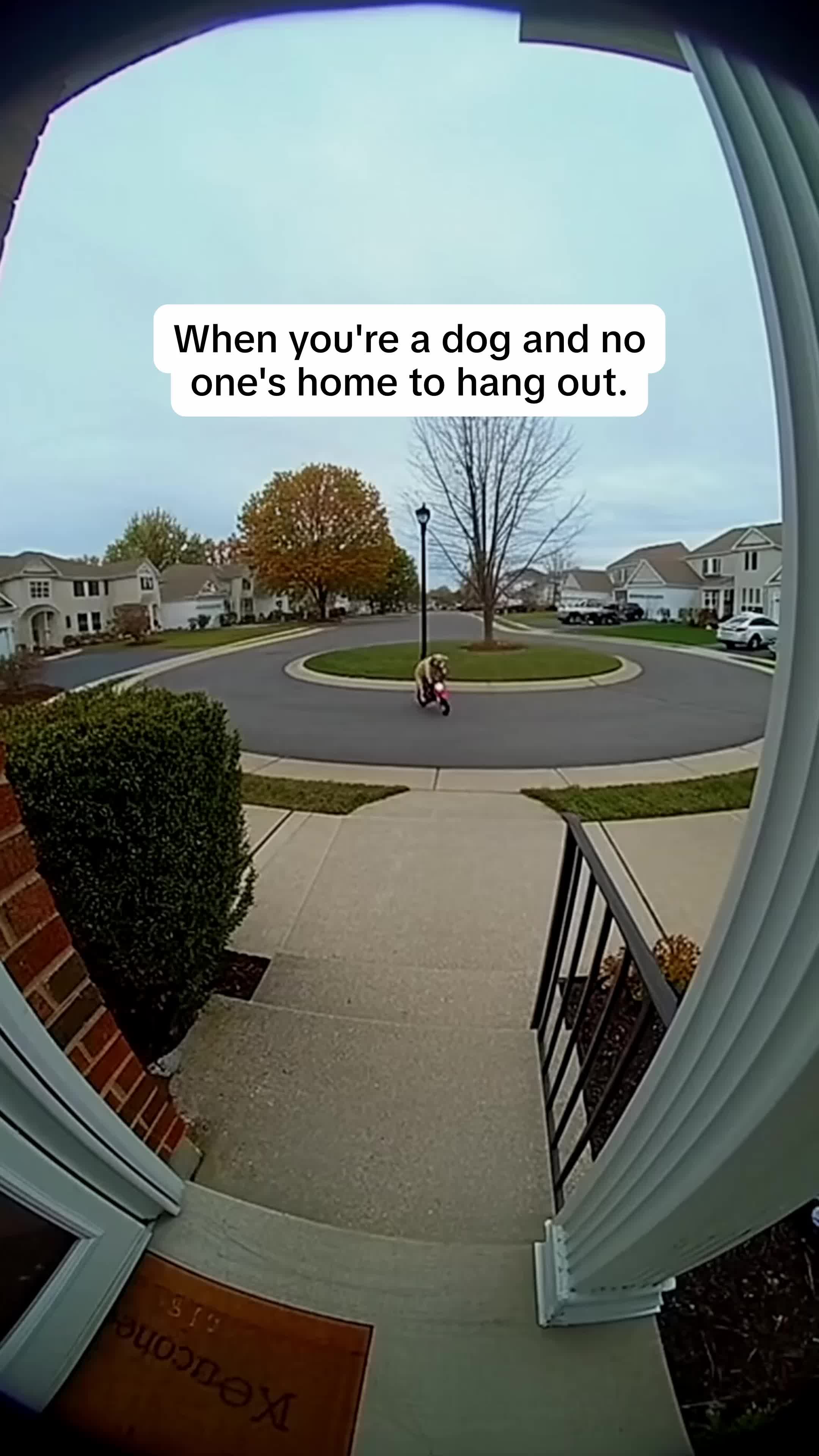 TikTok - US Facebook ad