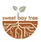 Sweet Bay Tree