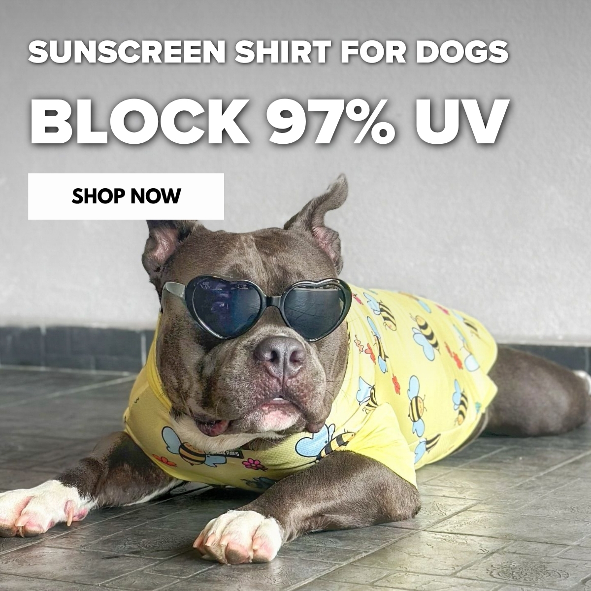 Spark Paws Facebook ad