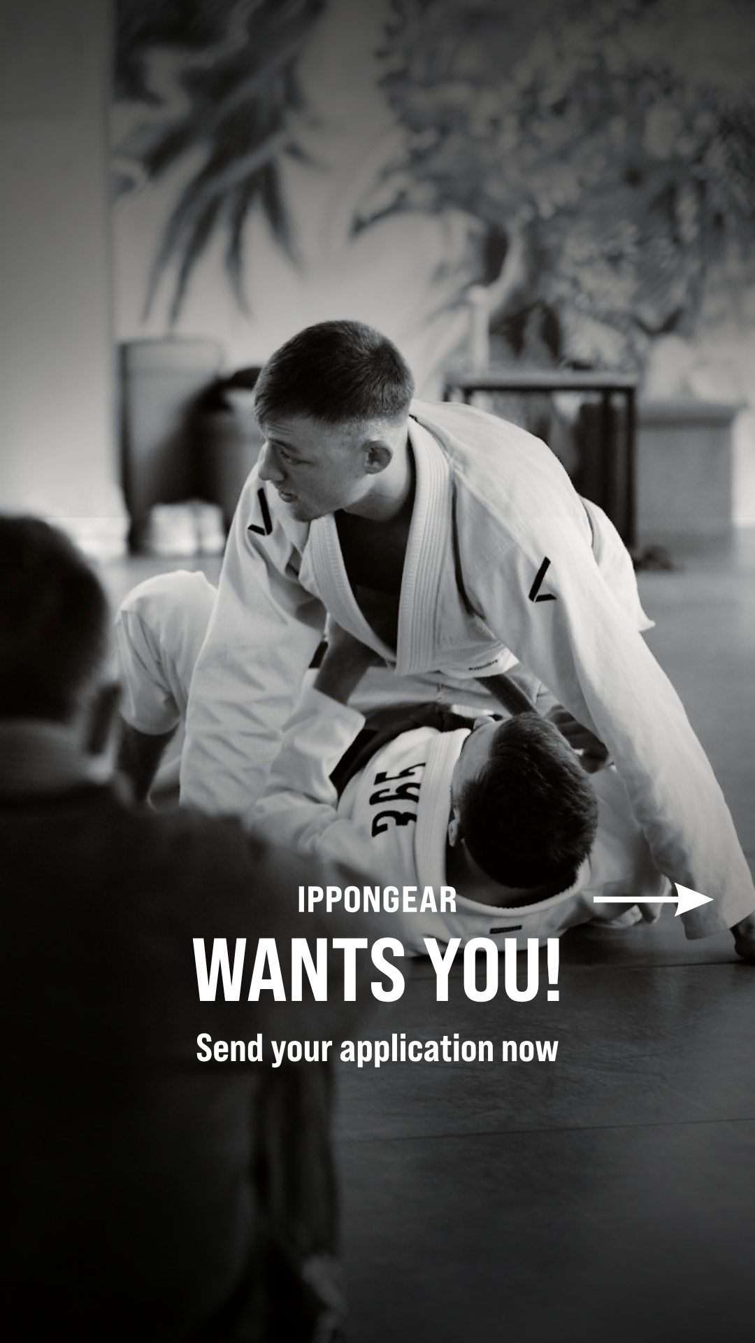 Ippon-Shop Judo Facebook ad