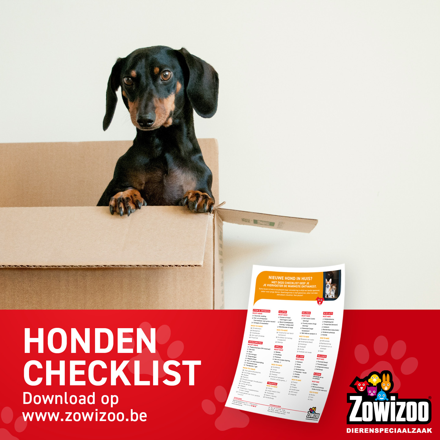 Zowizoo Facebook ad