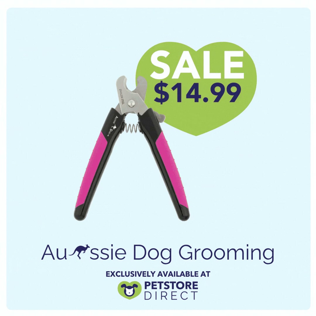 PetStore Direct Facebook ad: Shop PetStore.Direct