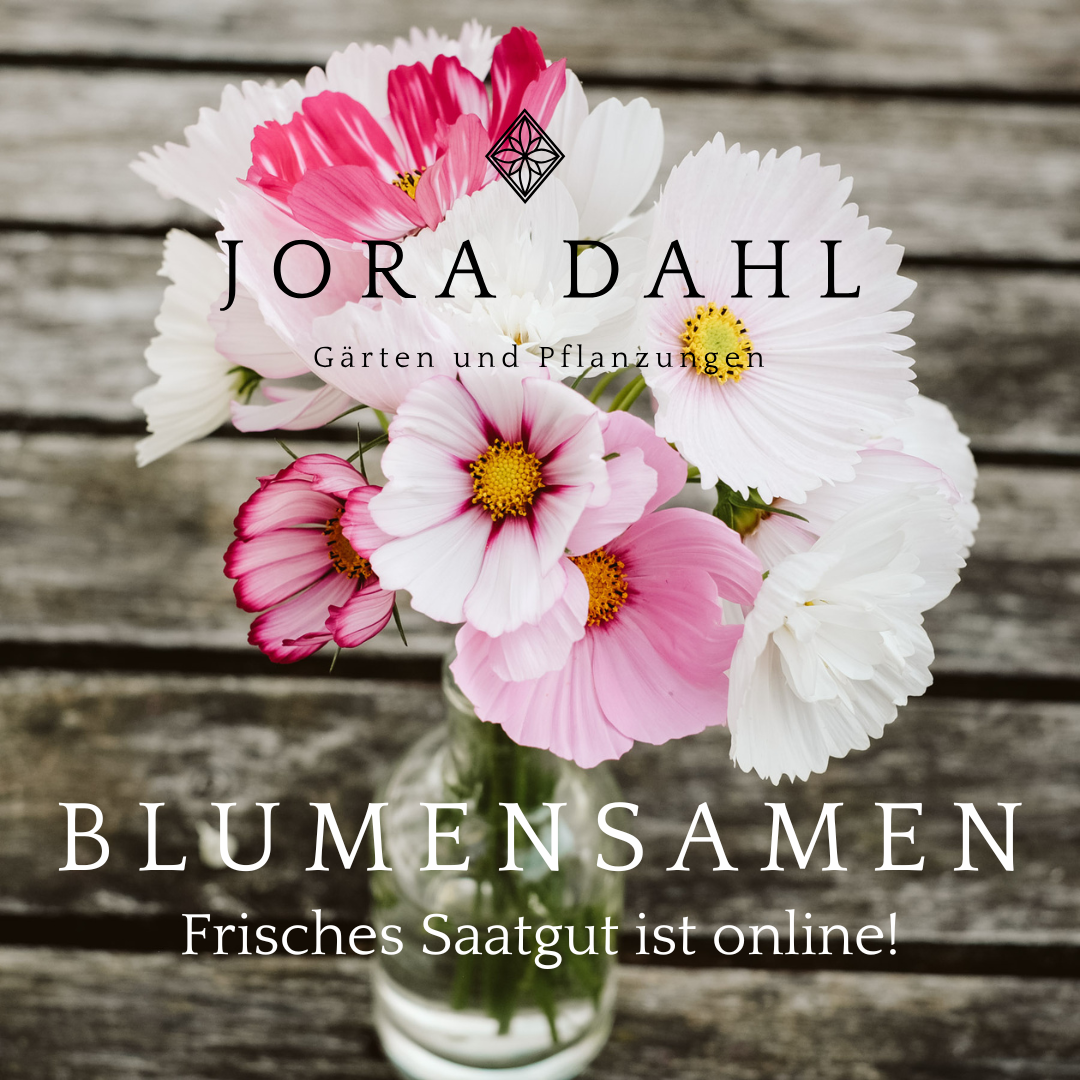 Jora Dahl Facebook ad