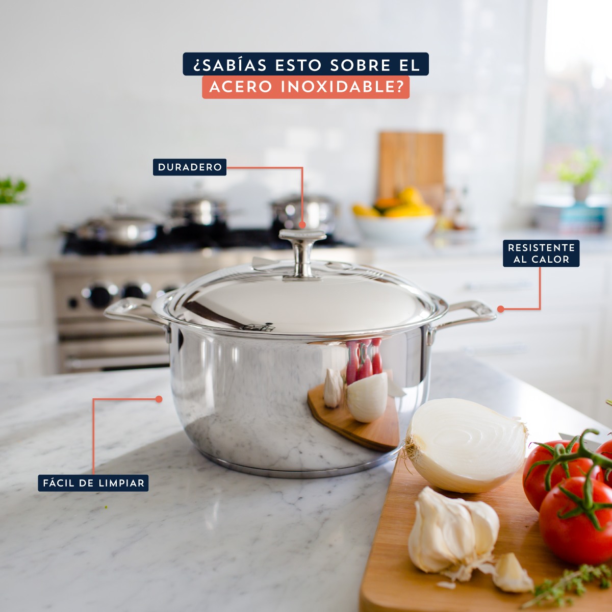 Rena Ware Chile Facebook ad: El acero inoxidable es resistente al calor, higiénico…