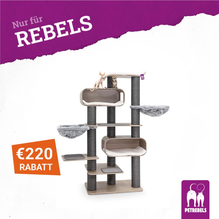 petrebels.com Facebook ad