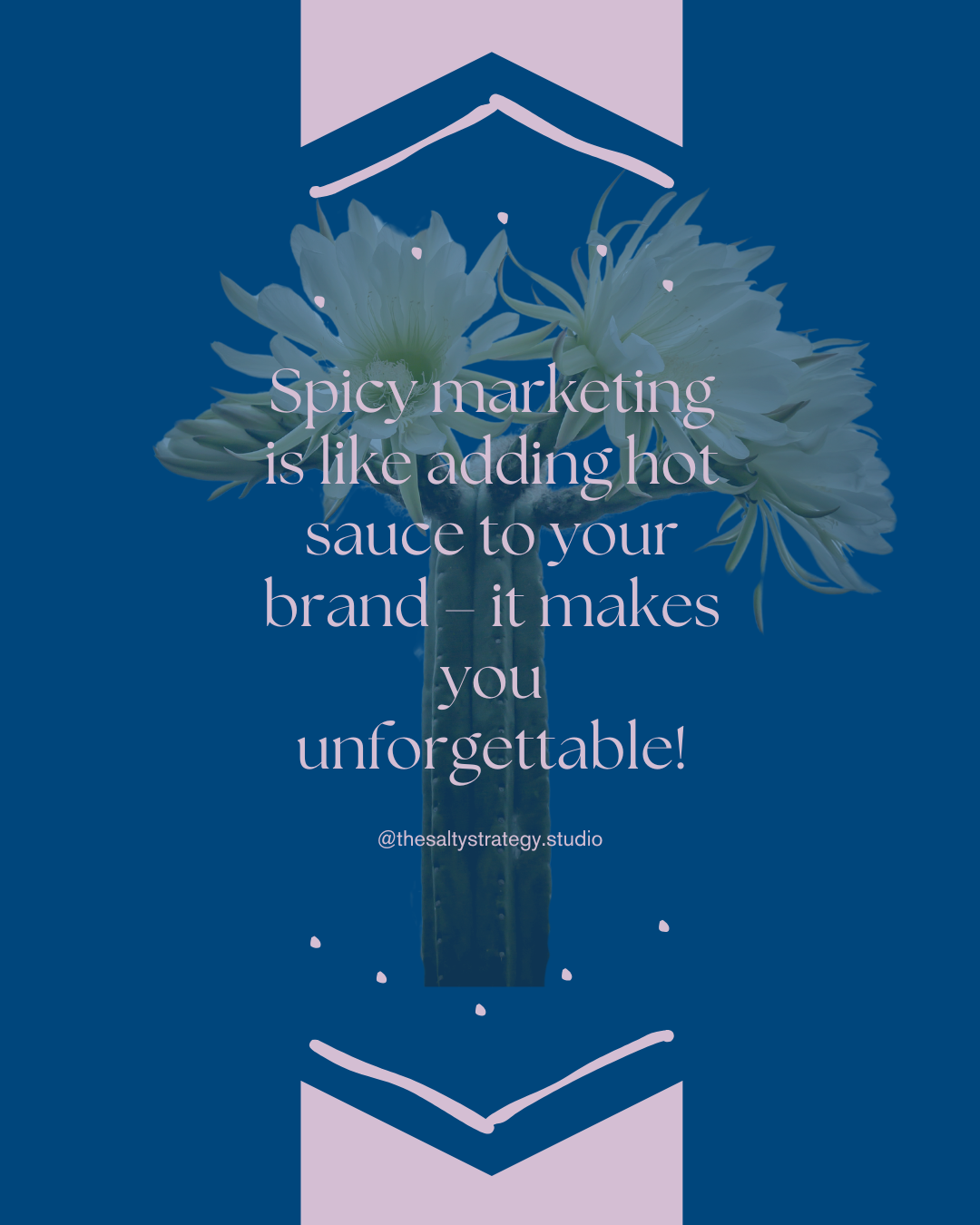 The Salty Strategy Studio Facebook ad from Jul 29, 2025