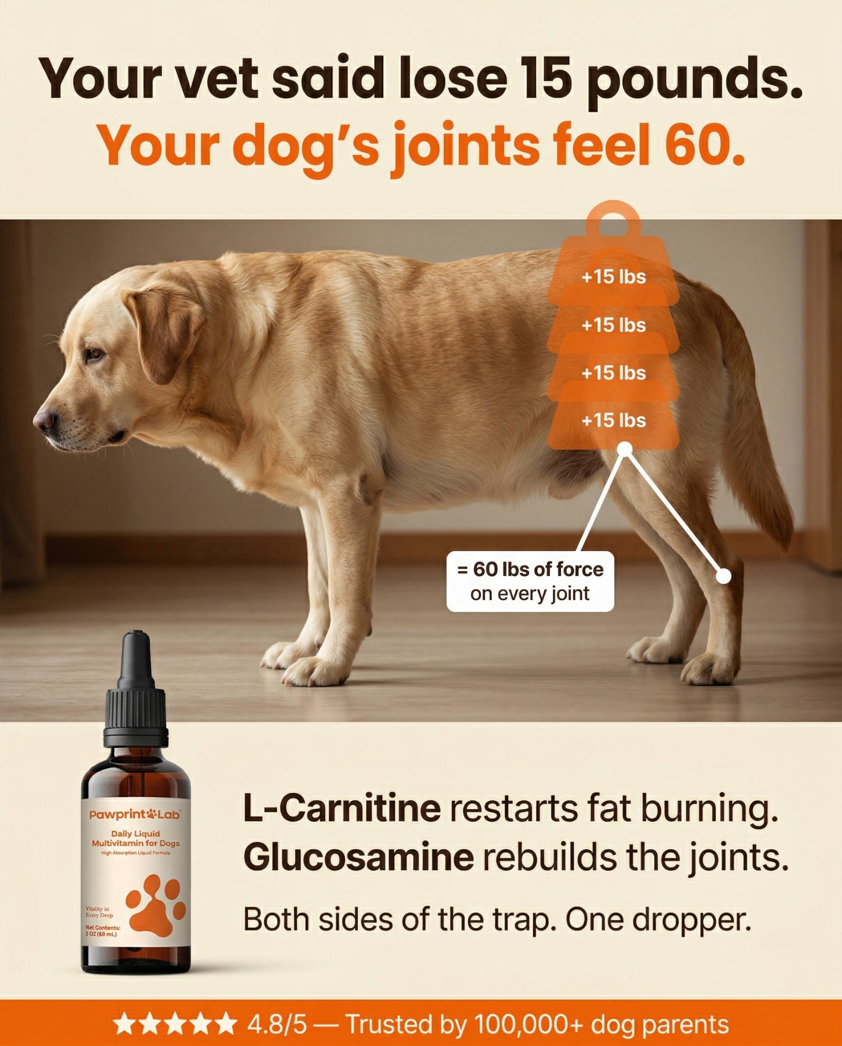 Vet-Approved Pet Products Facebook ad