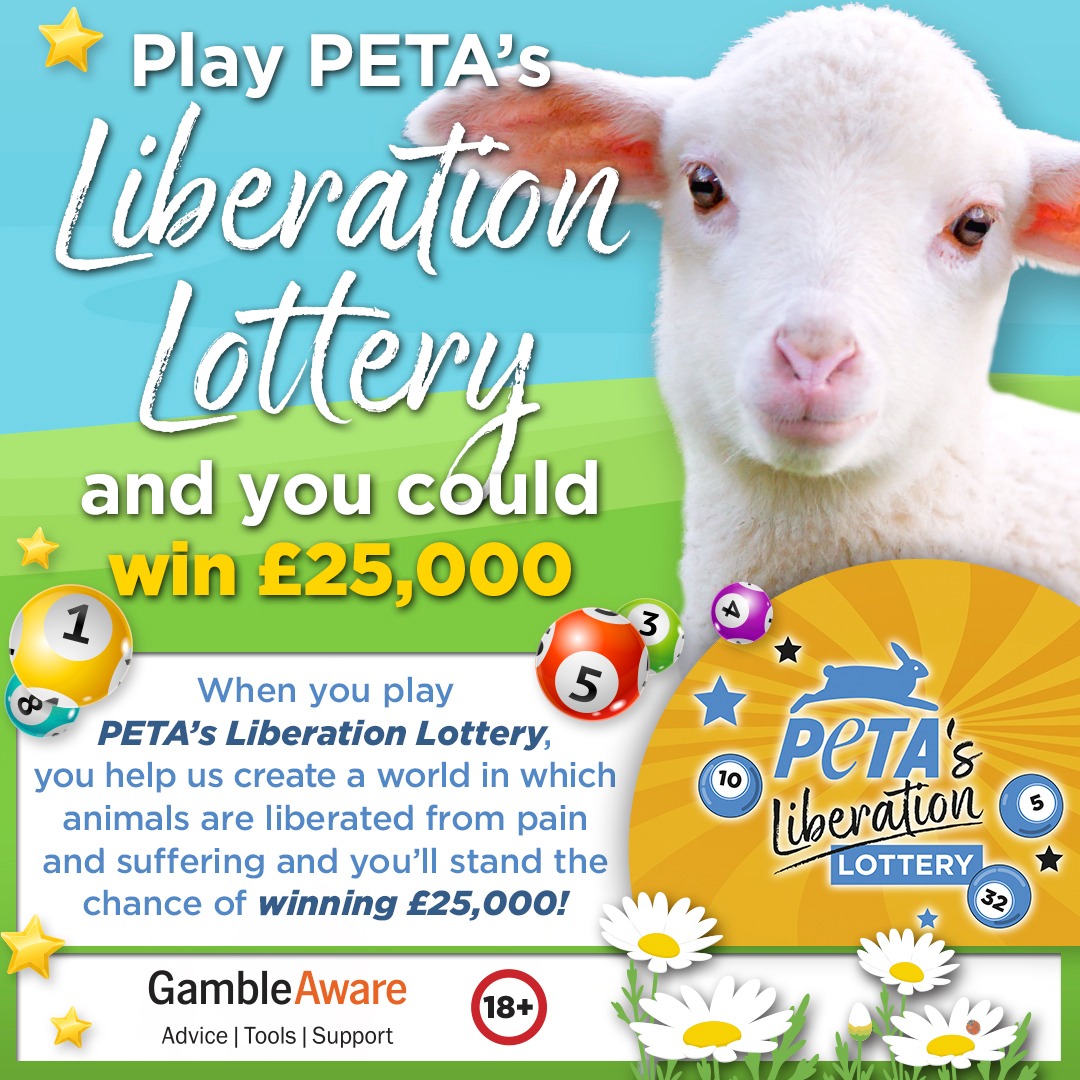 PETA UK Facebook ad