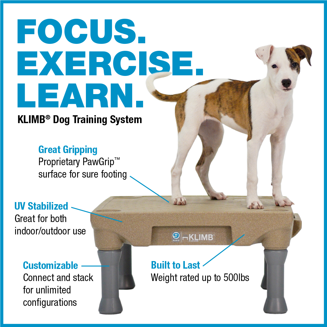 Blue-9 Pet Products Facebook ad
