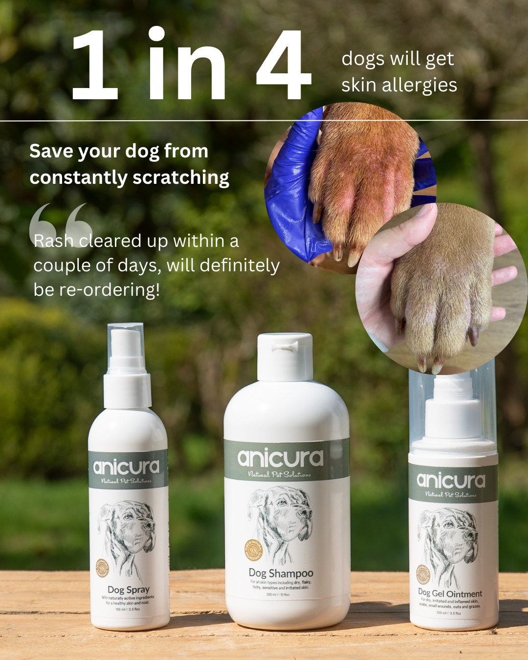 Anicura Ireland Facebook ad from Jun 9, 2026