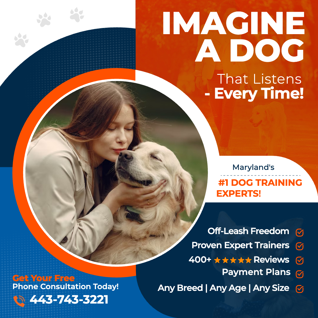 Off Leash K9 Training Maryland Facebook ad