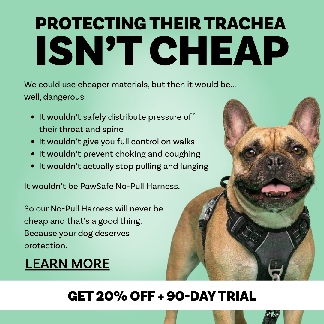 PawSafe Facebook ad