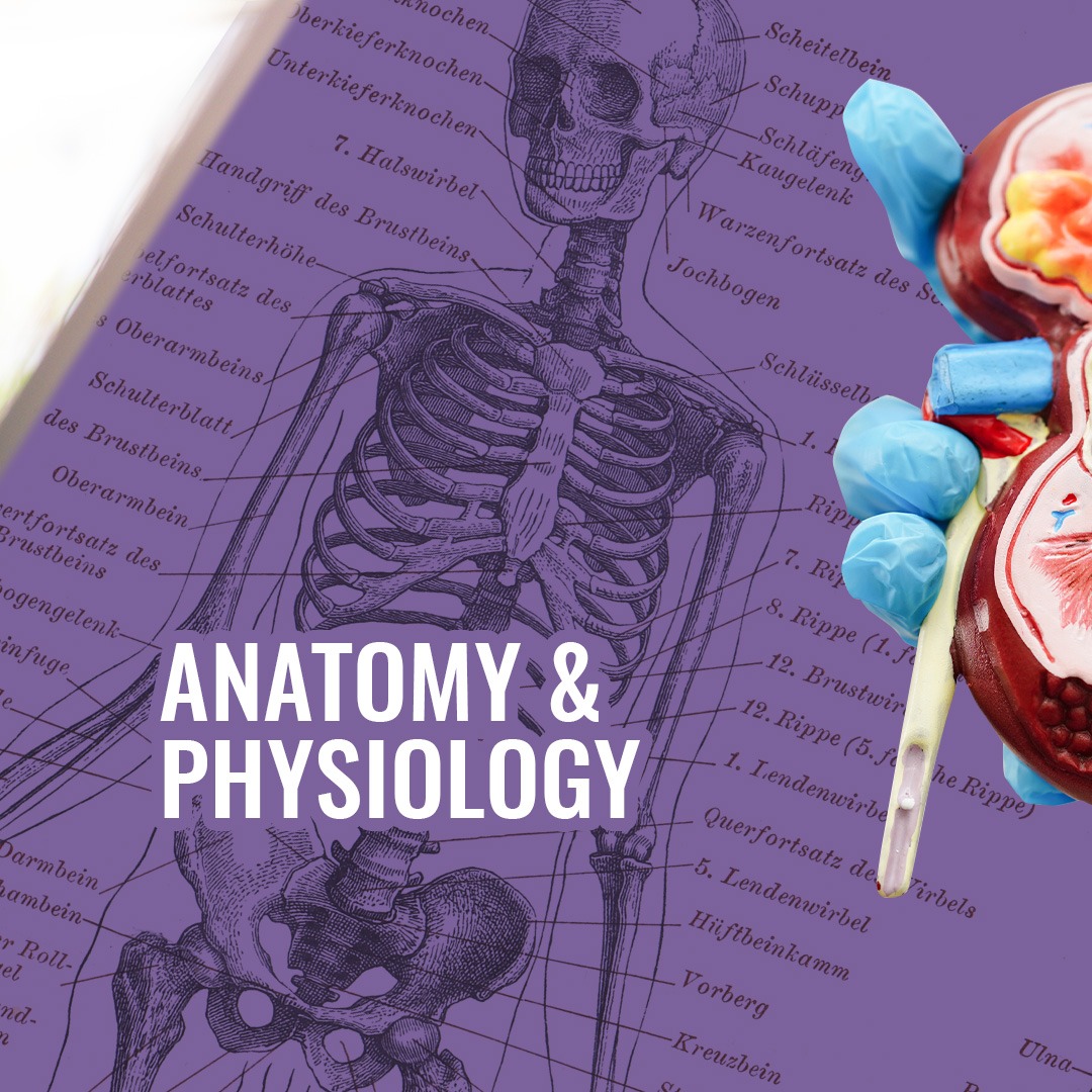 Southern California University of Health Sciences (SCU) Facebook ad