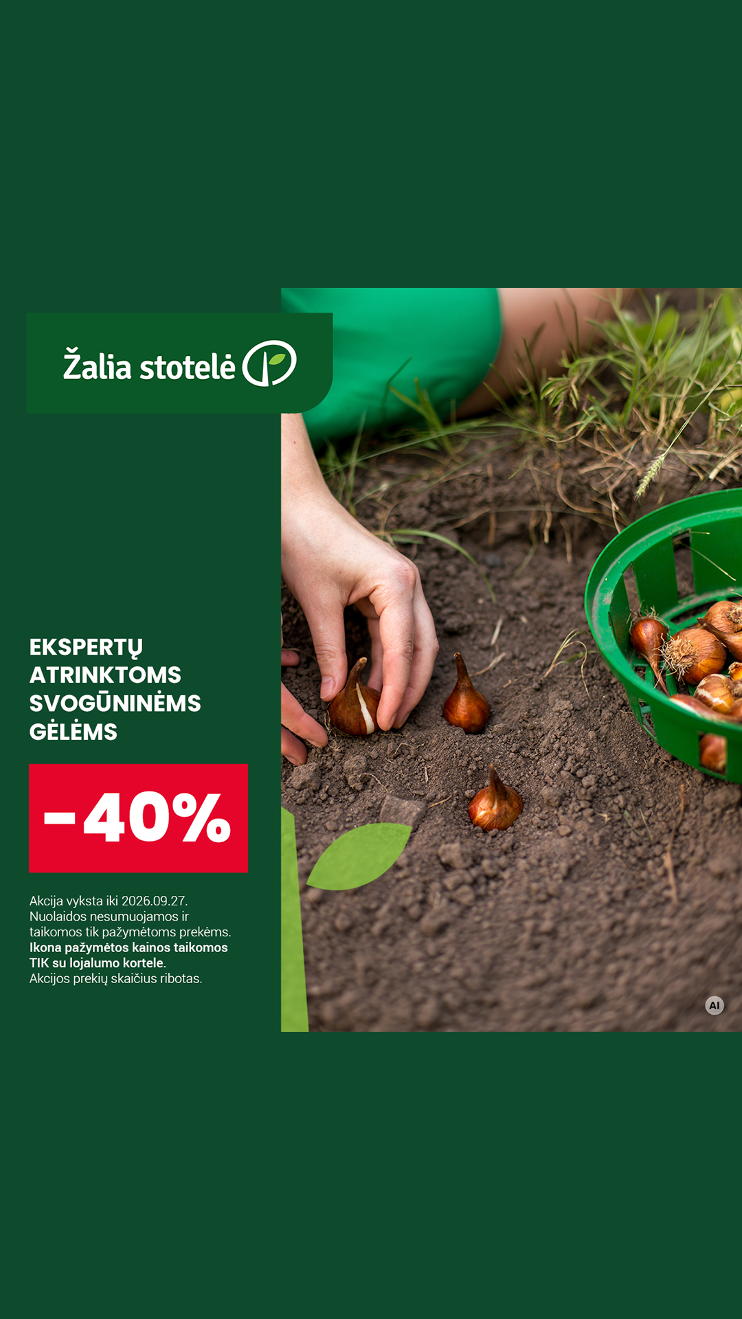 Žaliastotelė.lt Facebook ad: Ekspertų atrinktoms svogūninėms gėlėms -40%