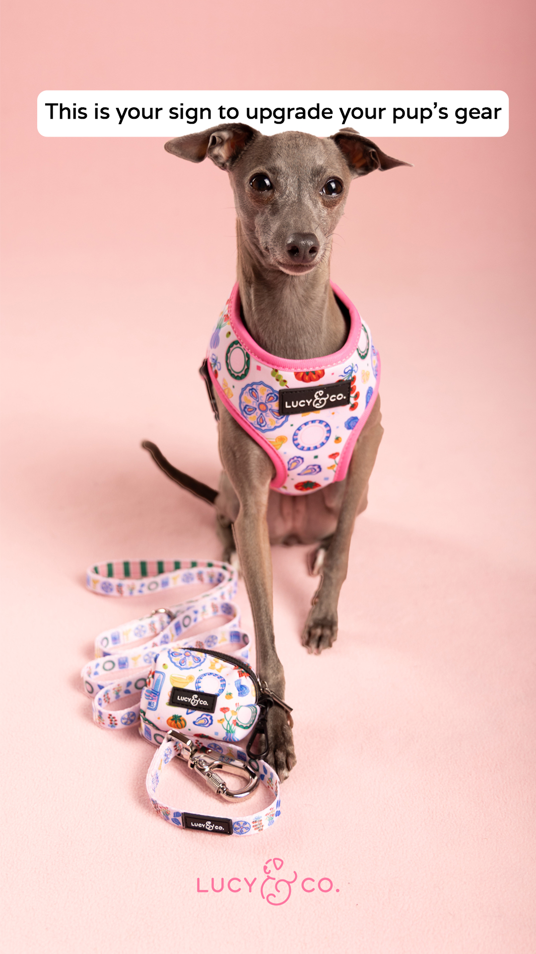 Lucy & Co. Facebook ad
