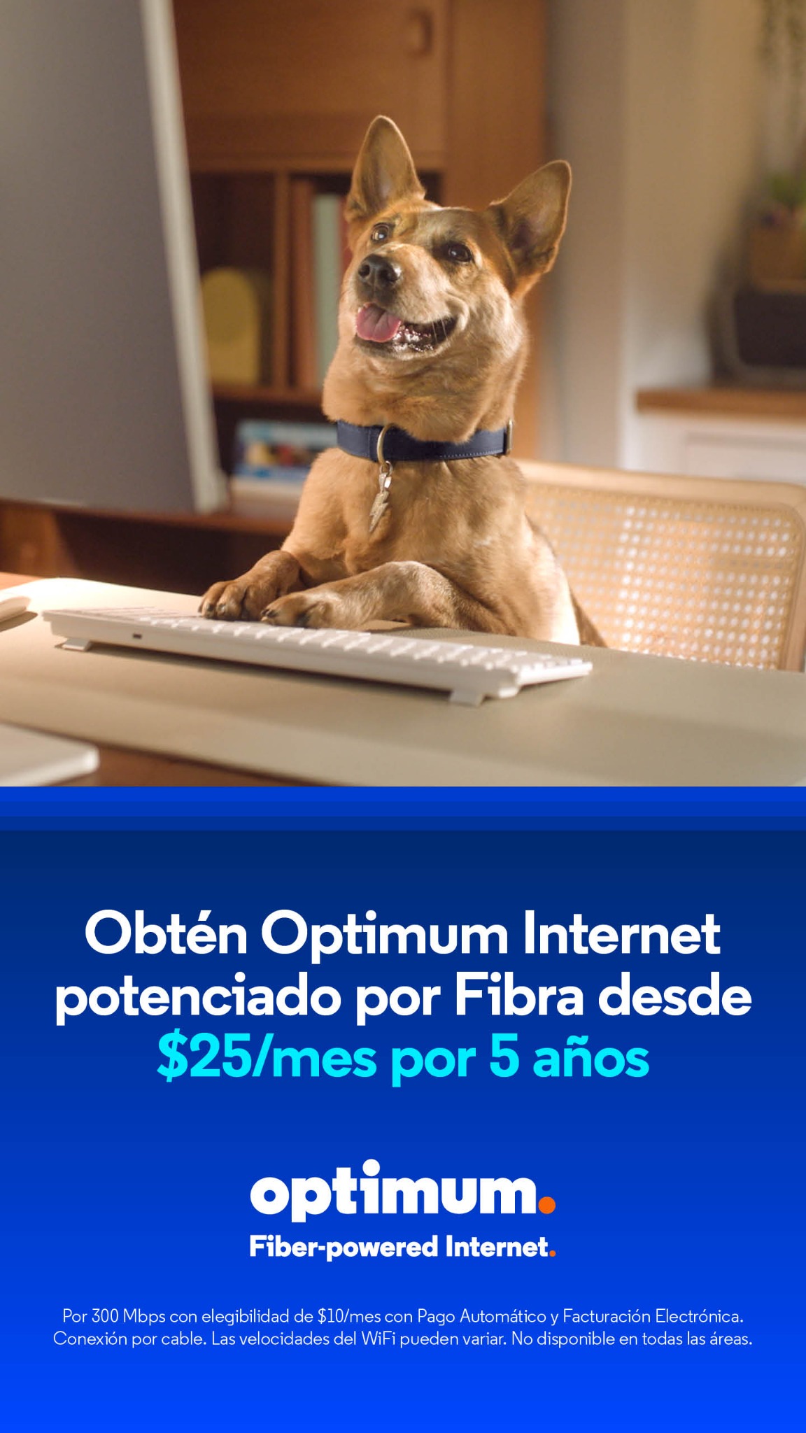 Optimum Facebook ad