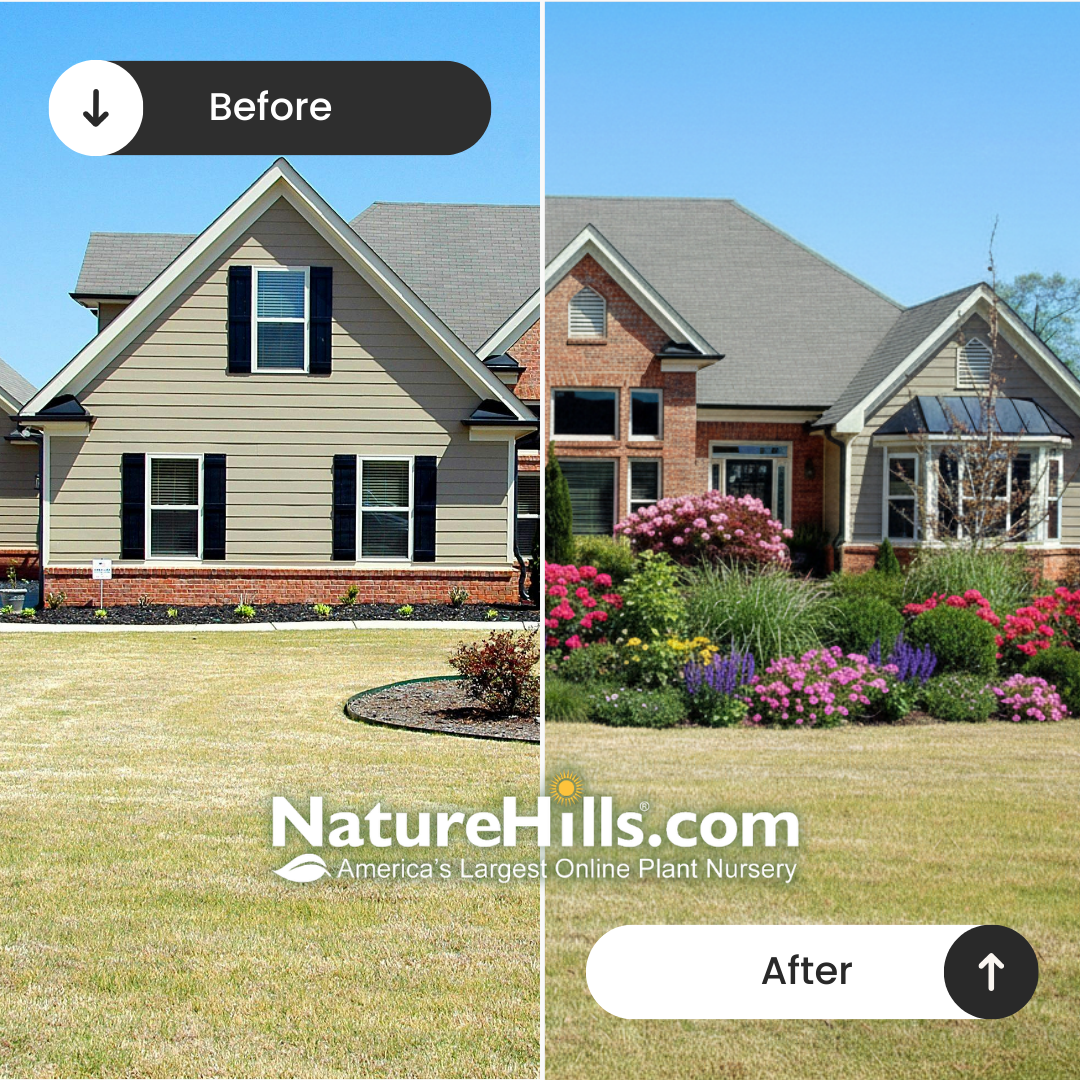 Nature Hills Nursery Facebook ad