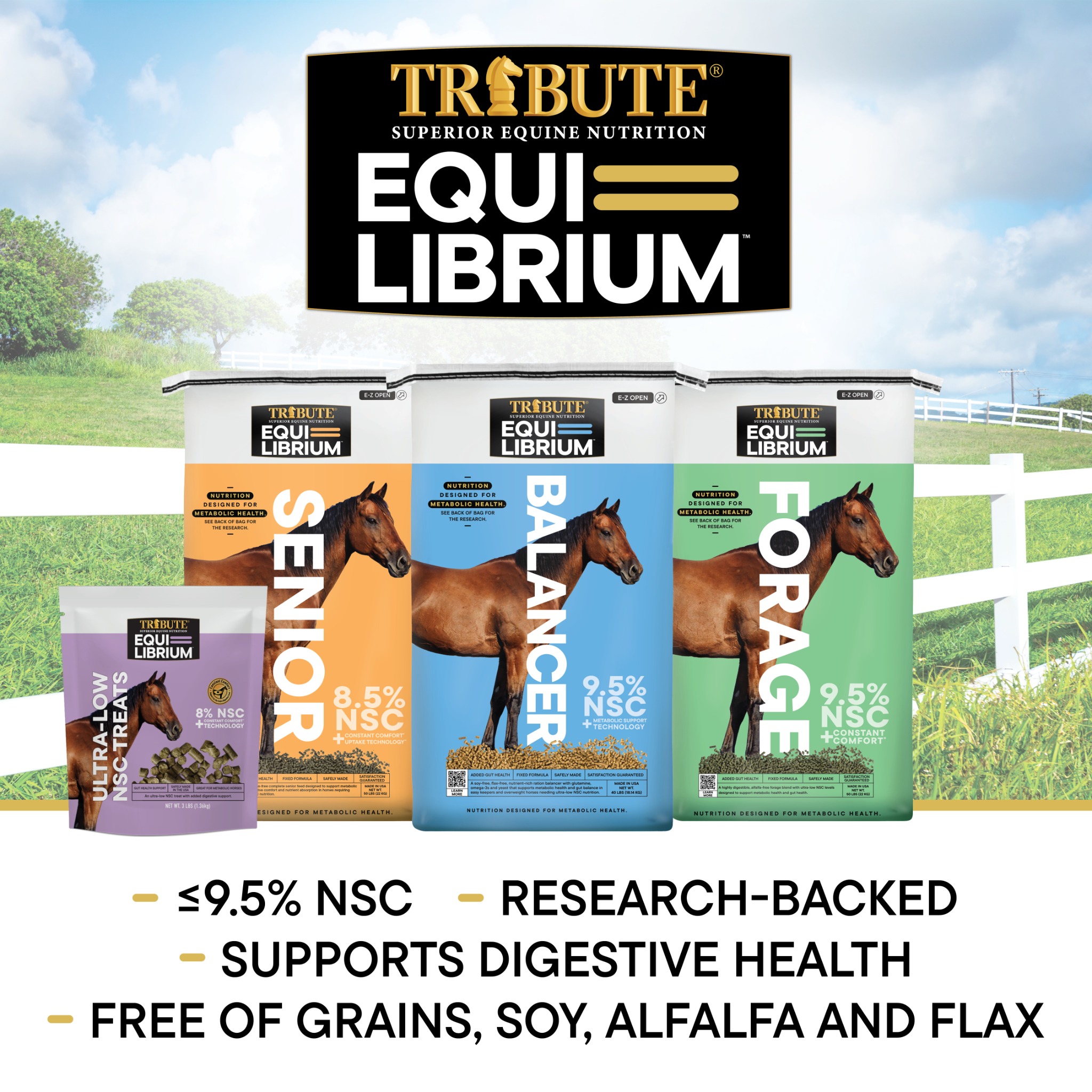 Tribute Equine Nutrition Facebook ad: Nutrition for Metabolic Health