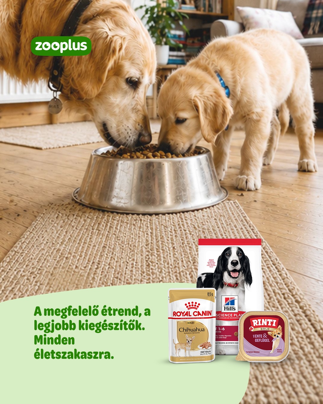 Zooplus INT Facebook ad