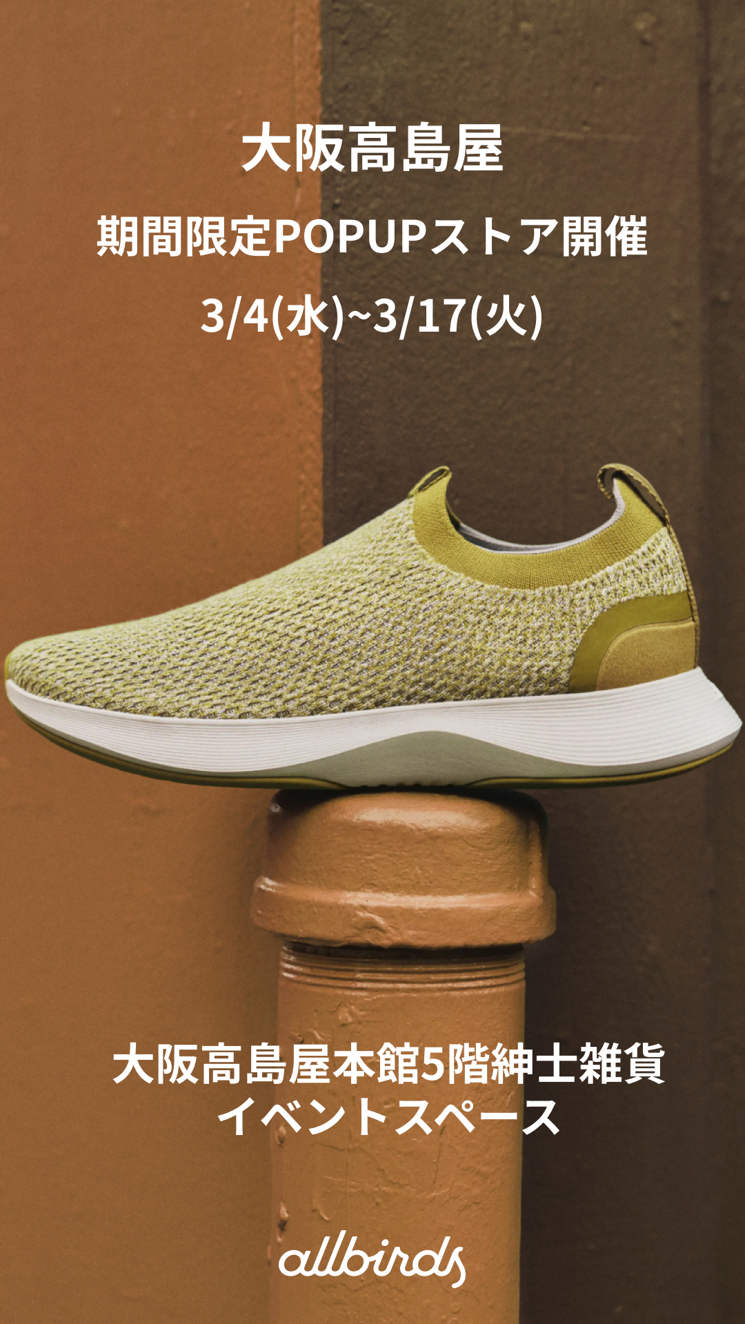 Allbirds Japan Facebook ad