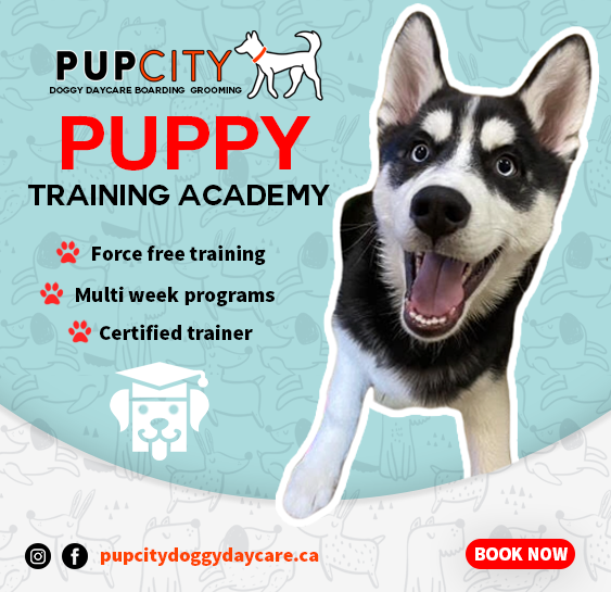 Pup City Doggy Daycare Facebook ad