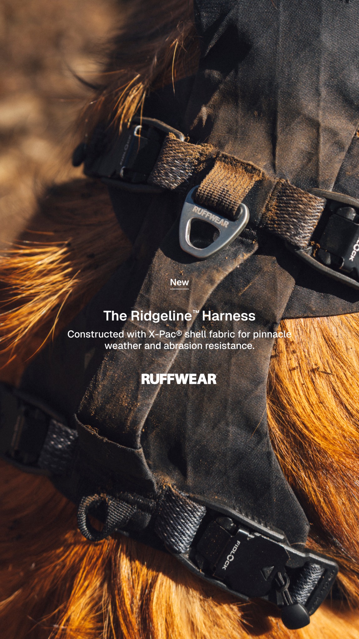 Ruffwear Facebook ad