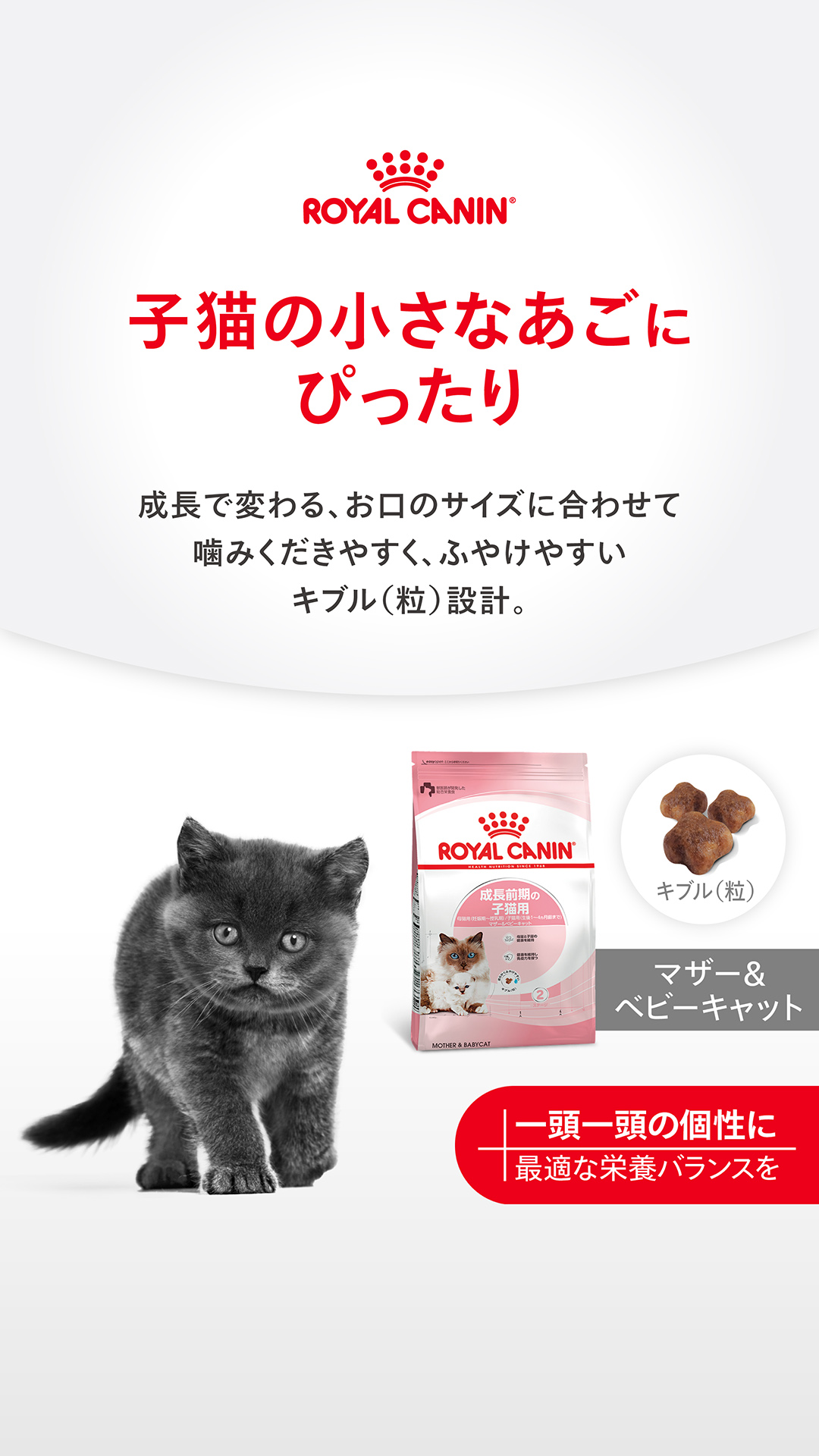Royal Canin Japon Facebook ad from Aug 17, 2026