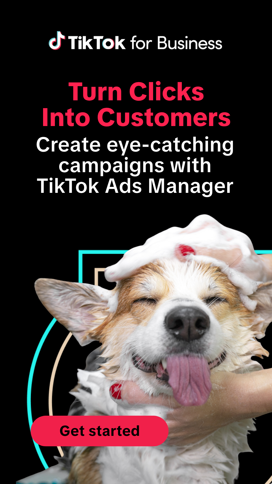 TikTok For Business Facebook ad