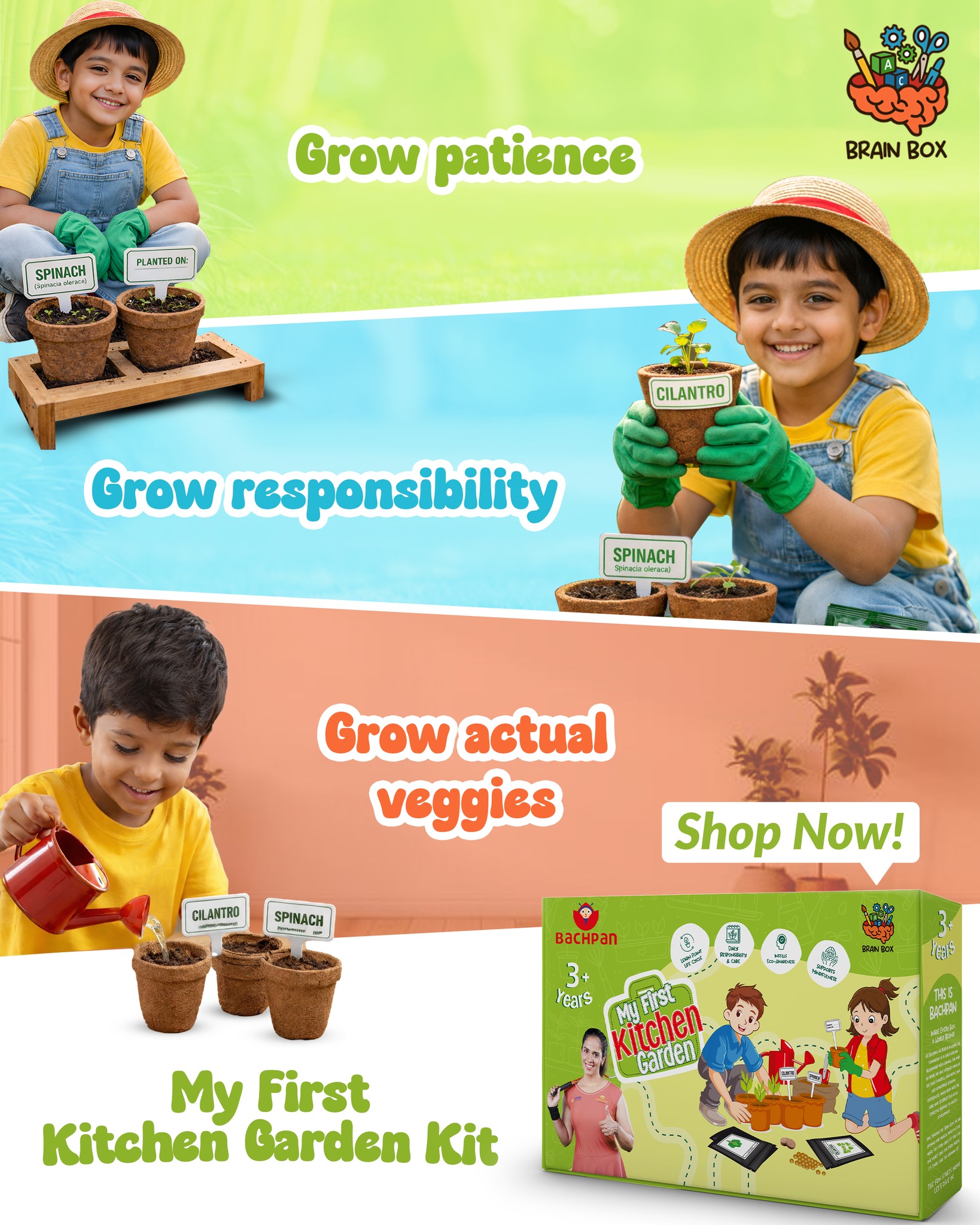 Bachpan Brain Box Facebook ad