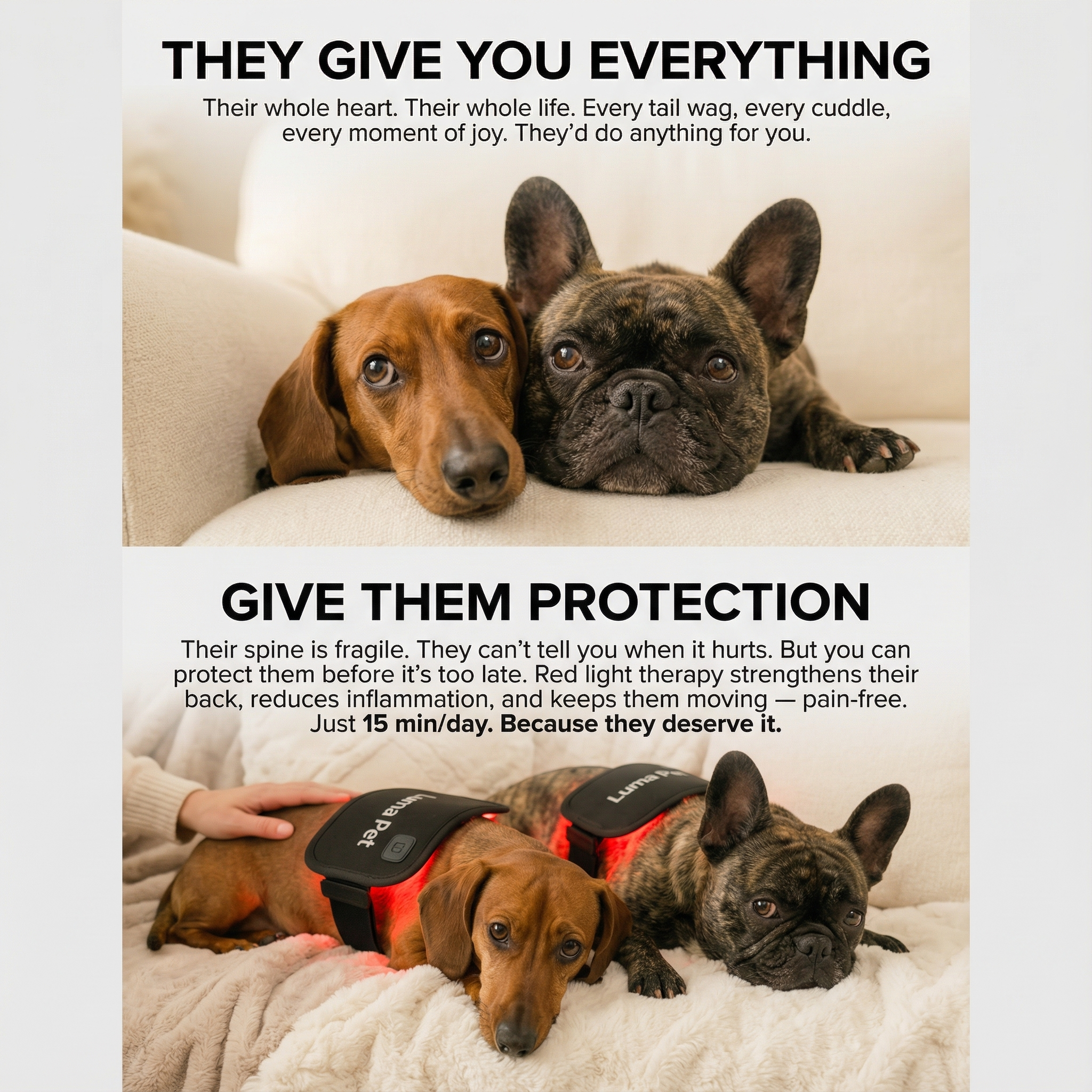 Life With Emma & Pup Facebook ad