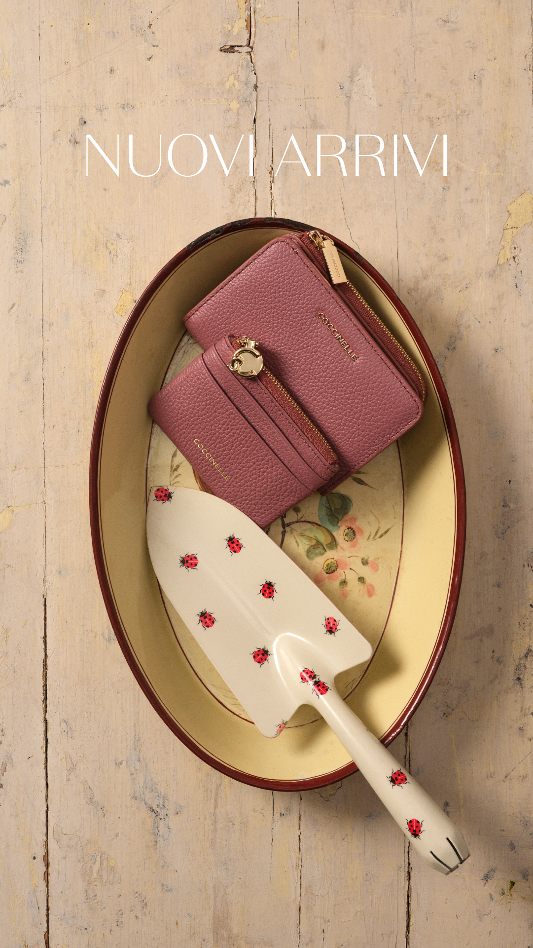 COCCINELLE Facebook ad