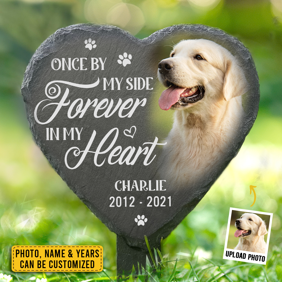 The Pawfect House Store Facebook ad