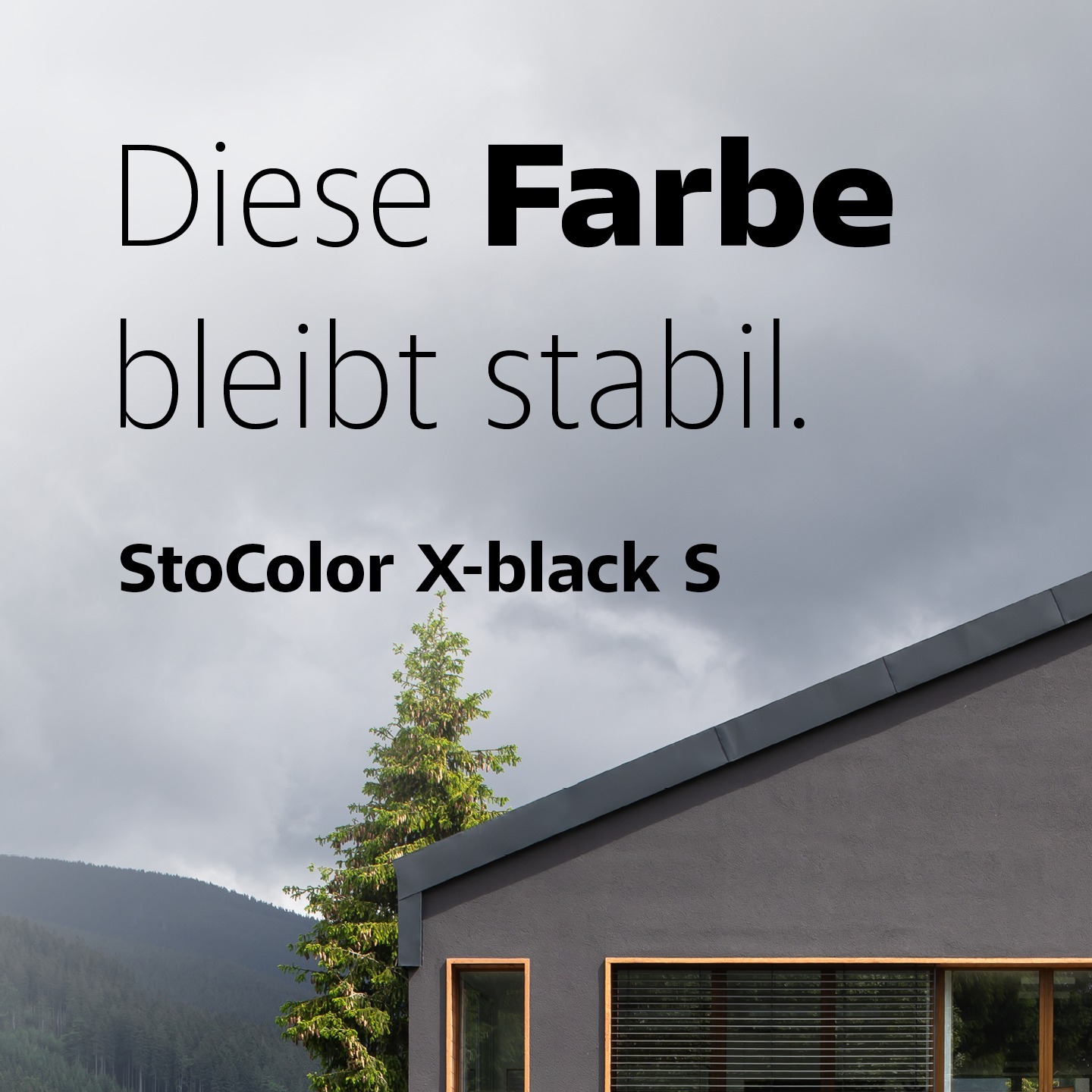 Sto Deutschland Facebook ad: Diese Farbe ist ganz schön stabil, und das…