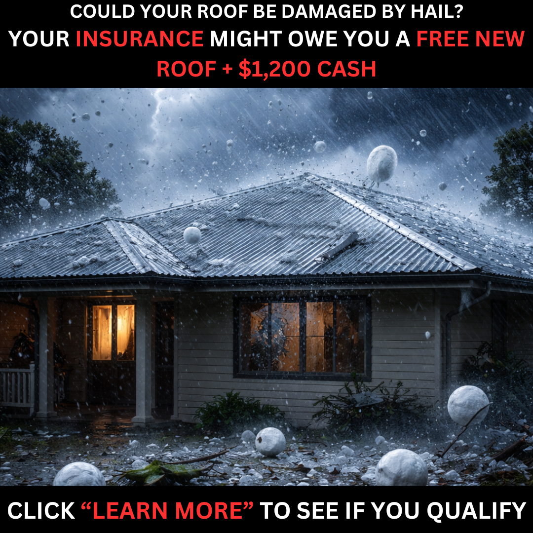 Dragon Roof Restoration Facebook ad