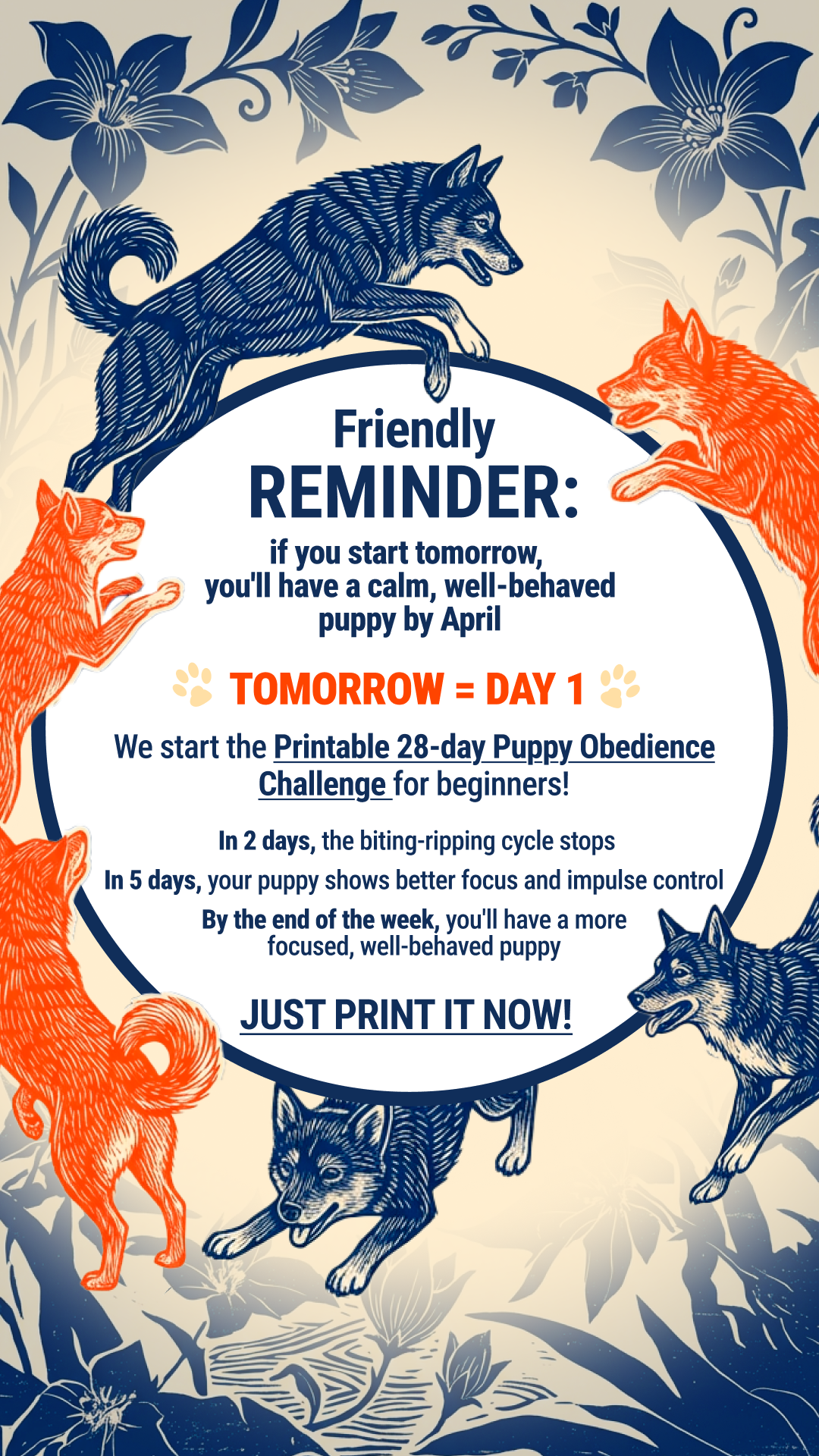 Dog Training & Tips Facebook ad
