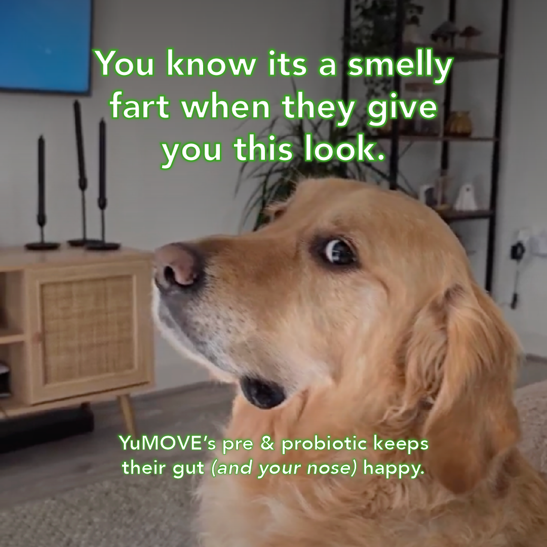 YuMOVE UK Facebook ad