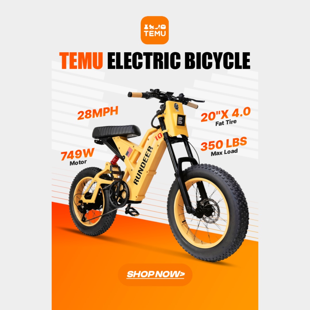 Temu Facebook ad