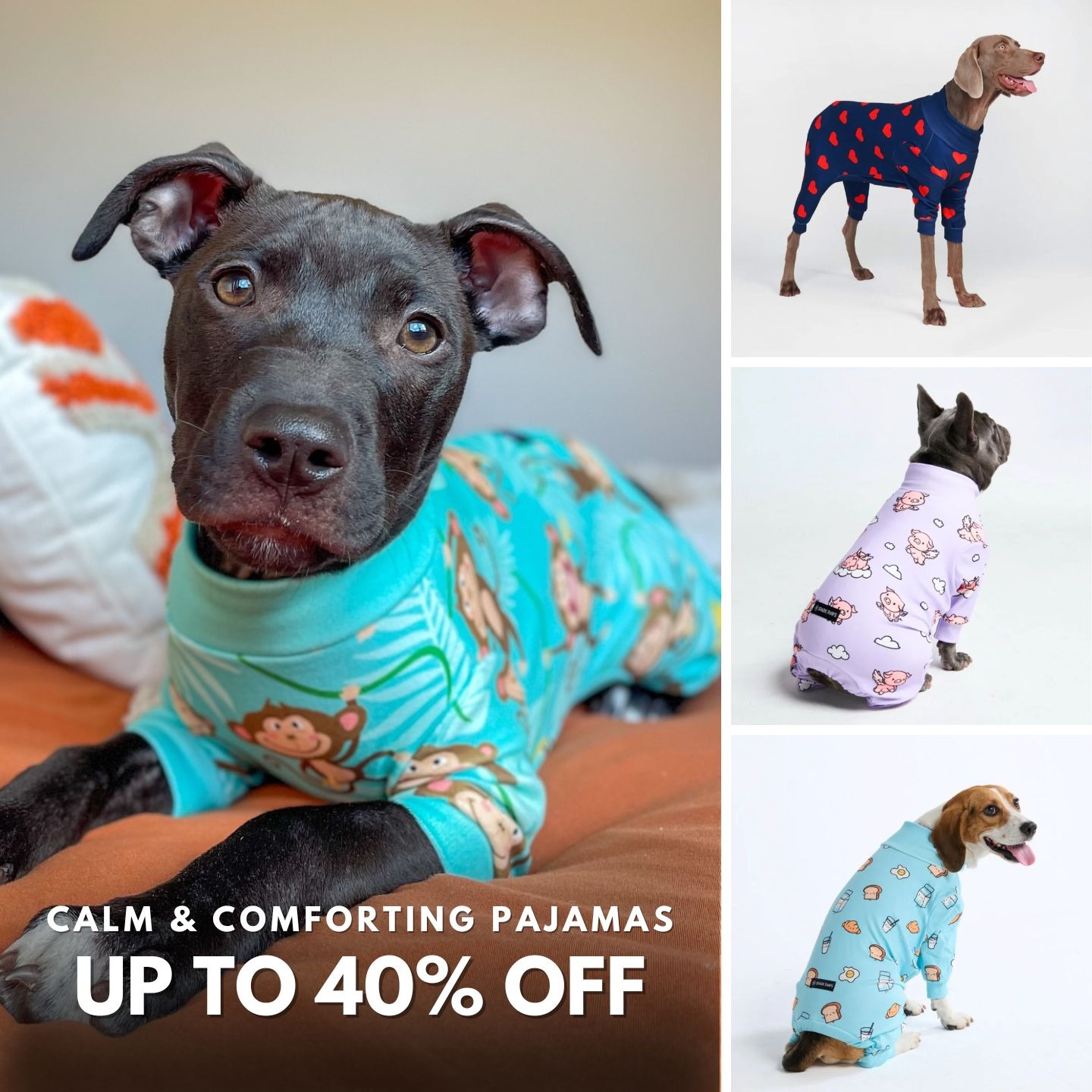 Spark Paws Facebook ad