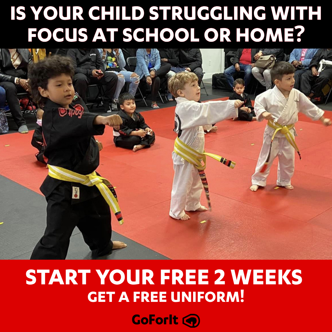 Go For It Martial Arts Hicksville Facebook ad