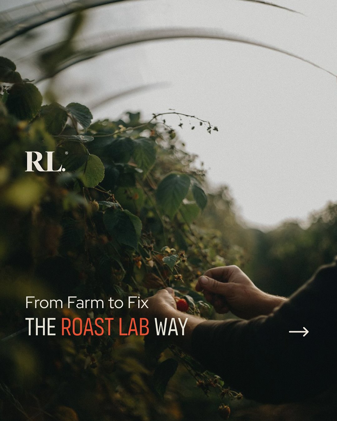 Roast Lab Facebook ad