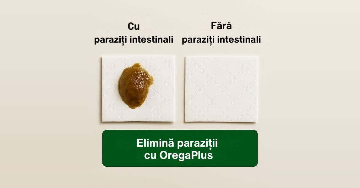Casa Echilibrului Facebook ad from May 13, 2026