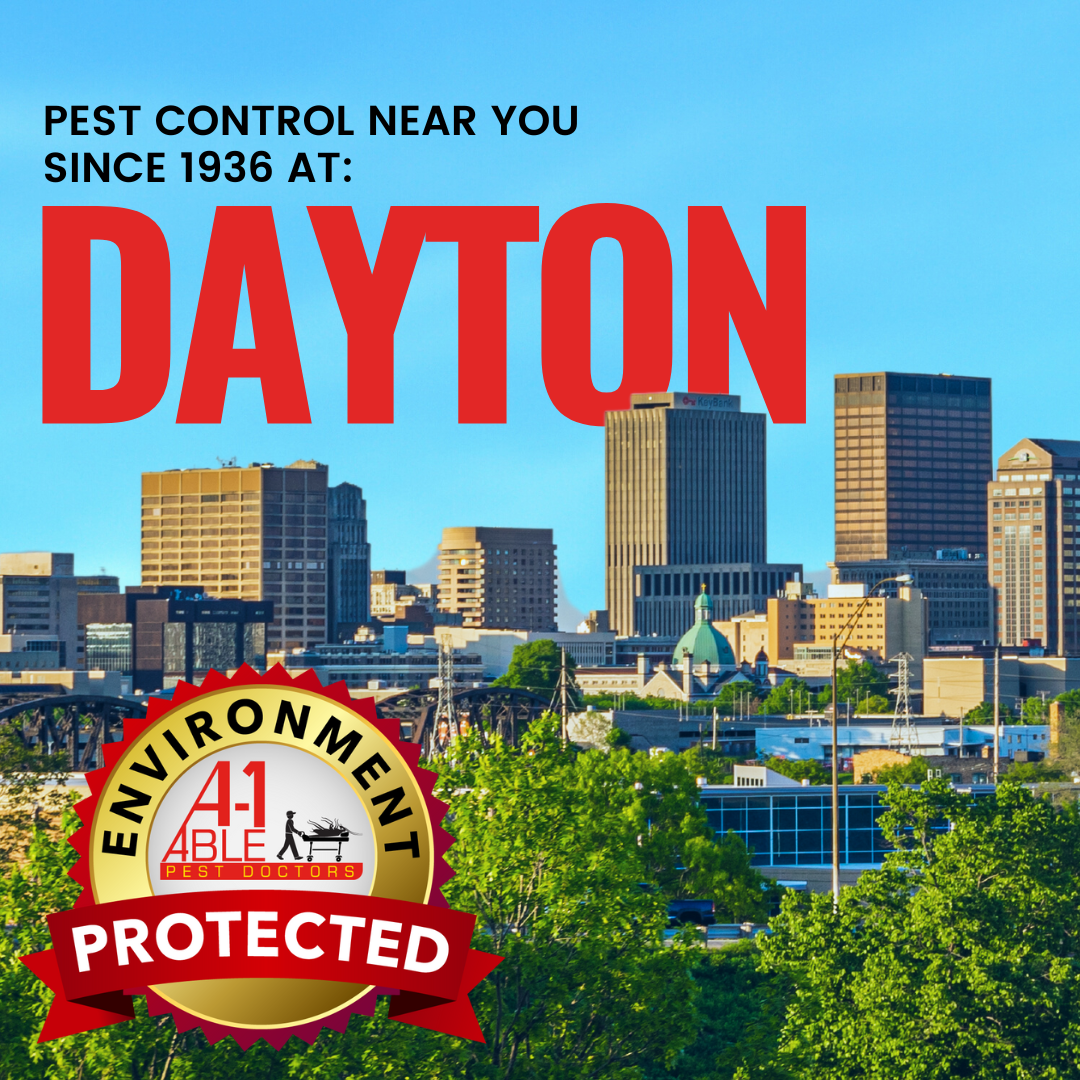 A1 Able Pest Doctors Facebook ad: The family owned pest control company protecting your…