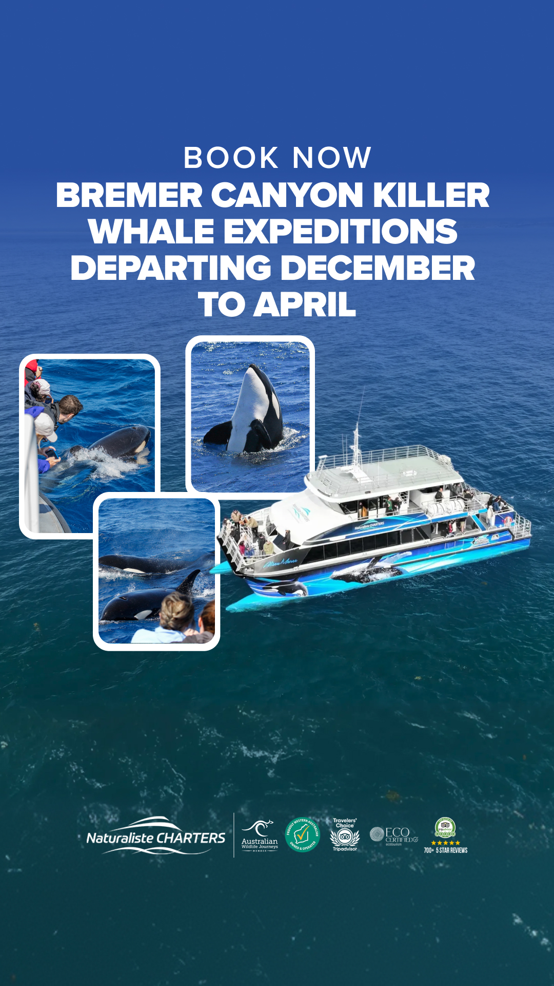 Naturaliste Charters Bremer Canyon Killer Whale and Pelagic Expeditions Facebook ad from May 8, 2026