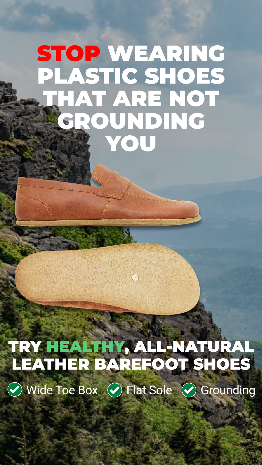 Earthing Harmony Facebook ad