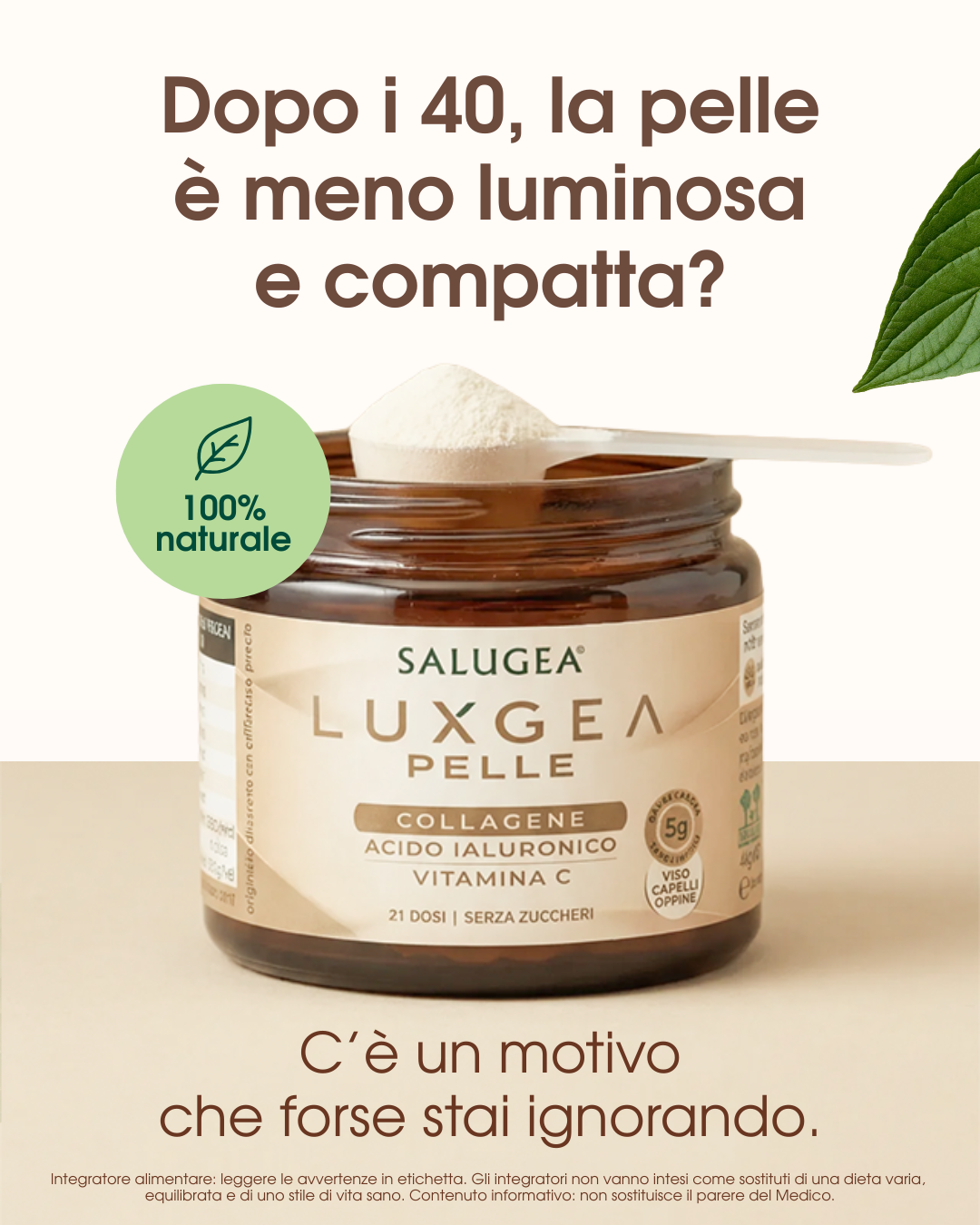 Salugea Facebook ad