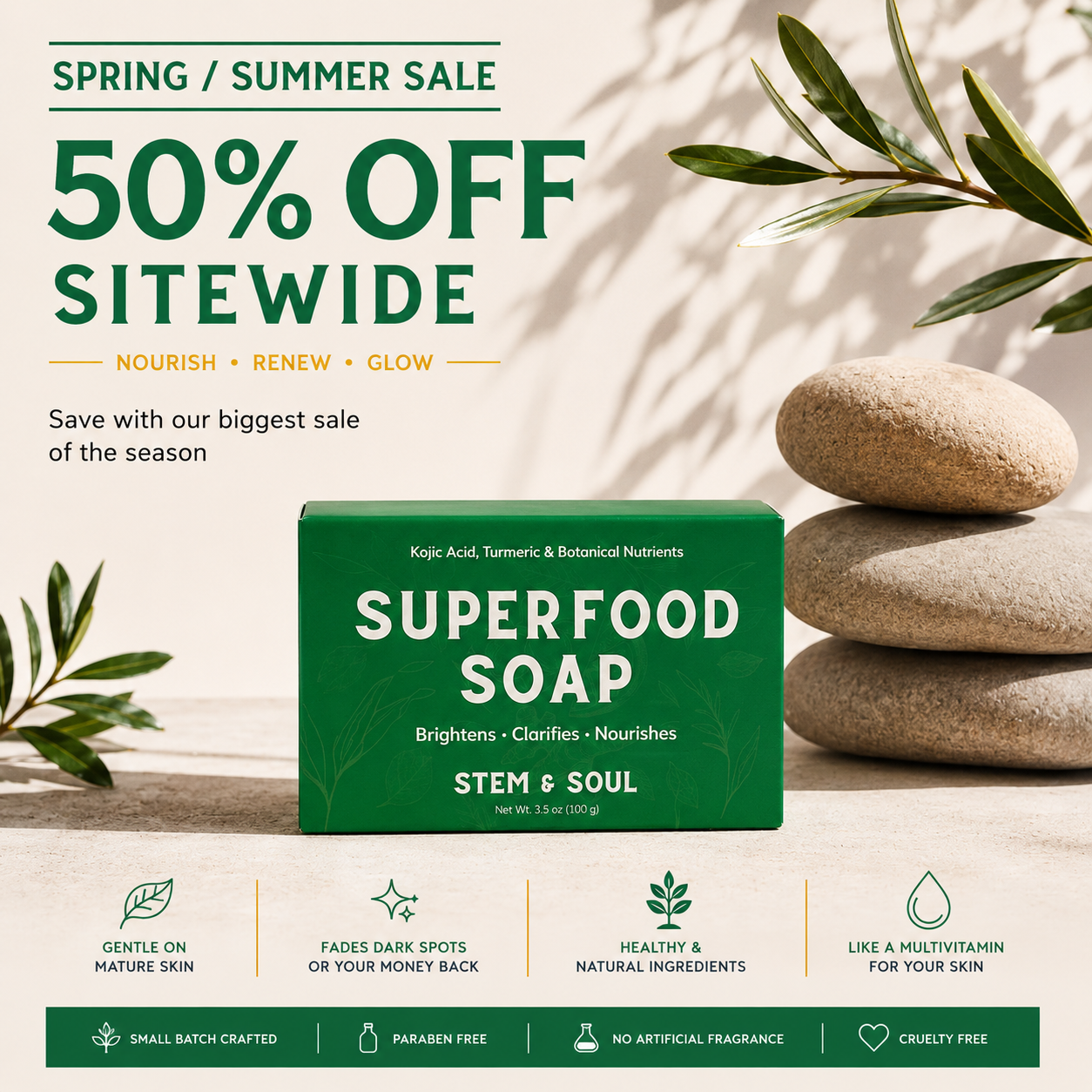 STEM & SOUL Facebook ad